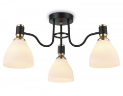 Накладной светильник Ambrella Light TR303303