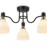 Накладной светильник Ambrella Light TR303303