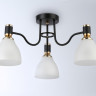 Накладной светильник Ambrella Light TR303303