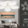 Накладной светильник Ambrella Light FA4015