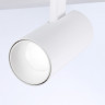 Накладной светильник Ambrella Light FL66201