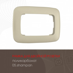 Розетка Arte Milano 205.40-2.shampan