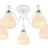 Накладная люстра Ambrella Light TR303305
