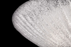 Накладной светильник Maytoni C809CL-04CH