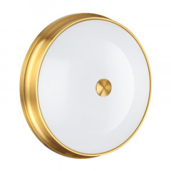 Накладной светильник Odeon Light 4824/4C