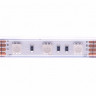 Лента DesignLed DSG560-12-RGB-65