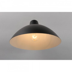 Бра APLOYT APL.632.01.01