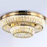 Каскадная люстра Ambrella Light TR5031