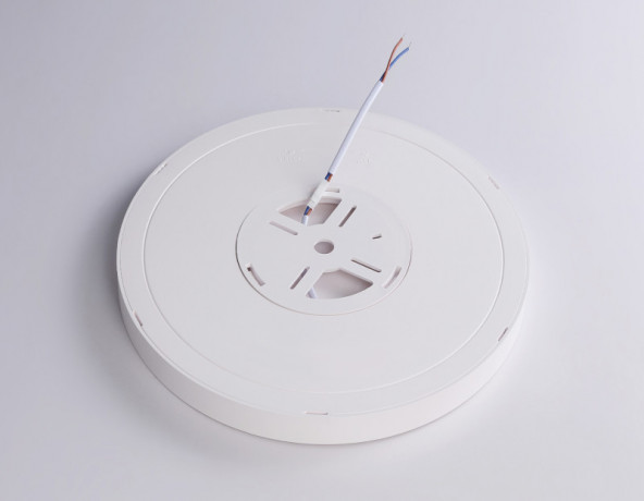 Накладной светильник Ambrella Light FZ1901