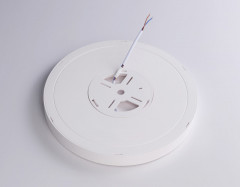 Накладной светильник Ambrella Light FZ1901