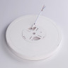 Накладной светильник Ambrella Light FZ1901