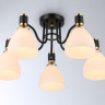Накладная люстра Ambrella Light TR303307