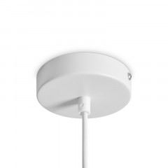 Подвесной светильник Freya FR5530PL-L10W