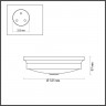 Накладной светильник Odeon Light 4825/3C