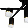 Накладная люстра Kink Light 07850-7,19