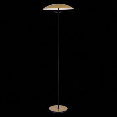 Торшер ST-Luce SL6502.205.01