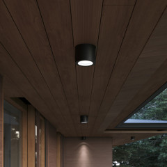 Накладной уличный светильник ST-Luce SL9006.402.01