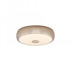 Накладной светильник Citilux CL706321