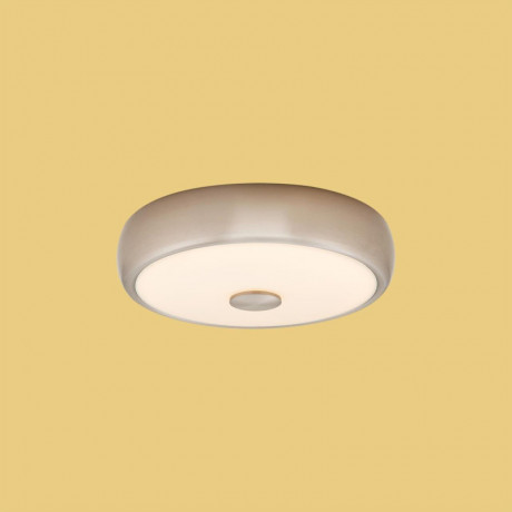 Накладной светильник Citilux CL706321