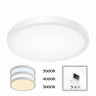 Накладной светильник Citilux CL738240V