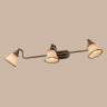 Спот Citilux CL511533