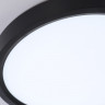 Накладной светильник Ambrella Light FZ1902