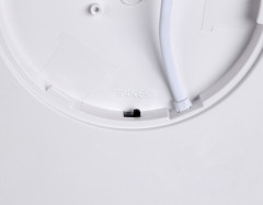 Накладной светильник Ambrella Light FZ1902