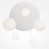 Подвесная люстра Maytoni MOD321PL-05W1