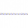 Лента DesignLed DSG560-24-W-33