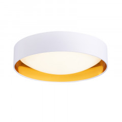 Накладной светильник Evoluce SLE201122-01