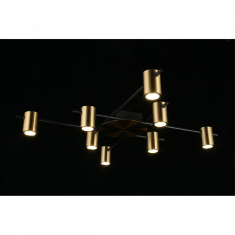 Накладная люстра APLOYT APL.633.07.08