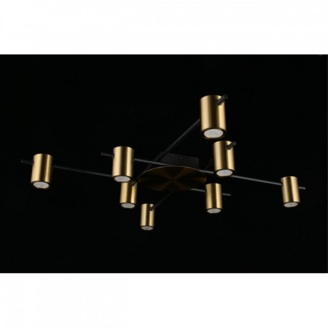 Накладная люстра APLOYT APL.633.07.08