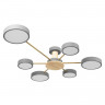 Накладной светильник LOFT IT 10316/6 Grey