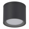 Накладной уличный светильник ST-Luce SL9006.702.01
