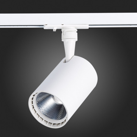 Светильник на шине ST-Luce ST351.546.20.24