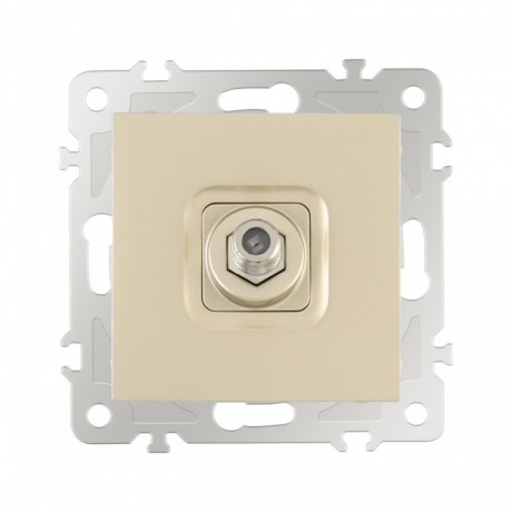 Розетка Arte Milano 206.42-1.shampan