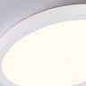 Накладной светильник Ambrella Light FZ1903