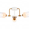 Накладной светильник Ambrella Light TR303321