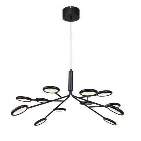 Подвесная люстра F-Promo 4252-12P