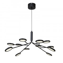 Подвесная люстра F-Promo 4252-12P