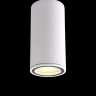 Влагозащищенный светильник Crystal Lux CLT 138C180 WH
