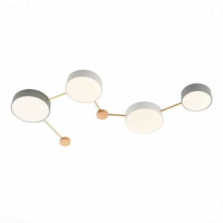 Накладной светильник Evoluce SLE600102-04