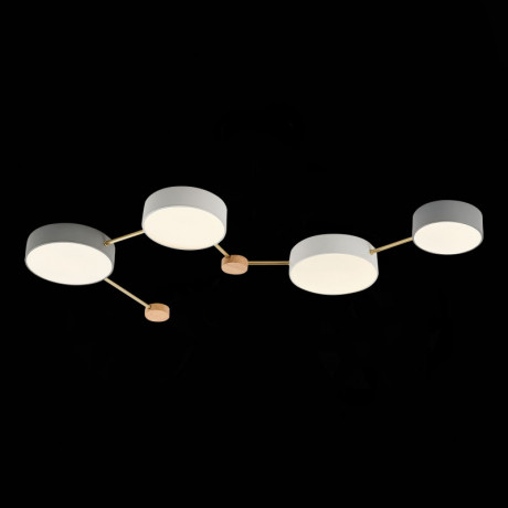 Накладной светильник Evoluce SLE600102-04