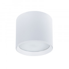 Накладной светильник ARTE Lamp A5548PL-1WH