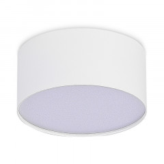 Накладной светильник ST-Luce ST606.542.12