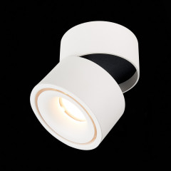 Накладной светильник ST-Luce ST652.542.12