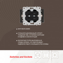 Розетка Arte Milano 206.40-2.shampan
