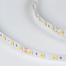 Лента DesignLed DSG560-24-WW-33