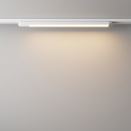 Светильник на шине Maytoni Technical TR000-1-24W3K-W