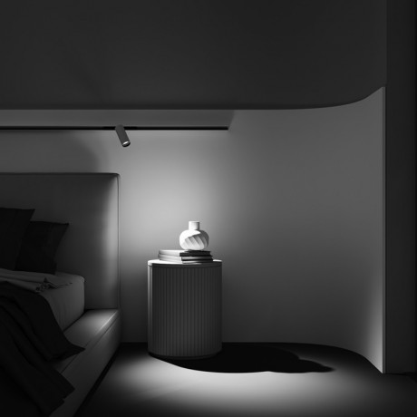 Светильник на шине Maytoni Technical TR032-2-12W3K-M-BW